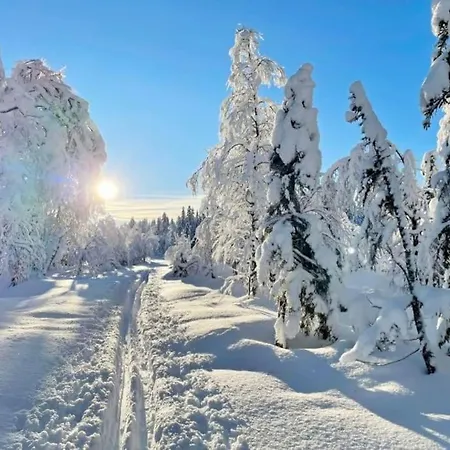 Oslo Exclusive Estate - Close To Sea And Villa Lysaker