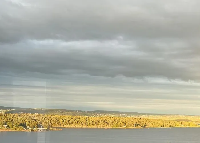 Oslo Exclusive Estate - Close To Sea&city Villa Lysaker